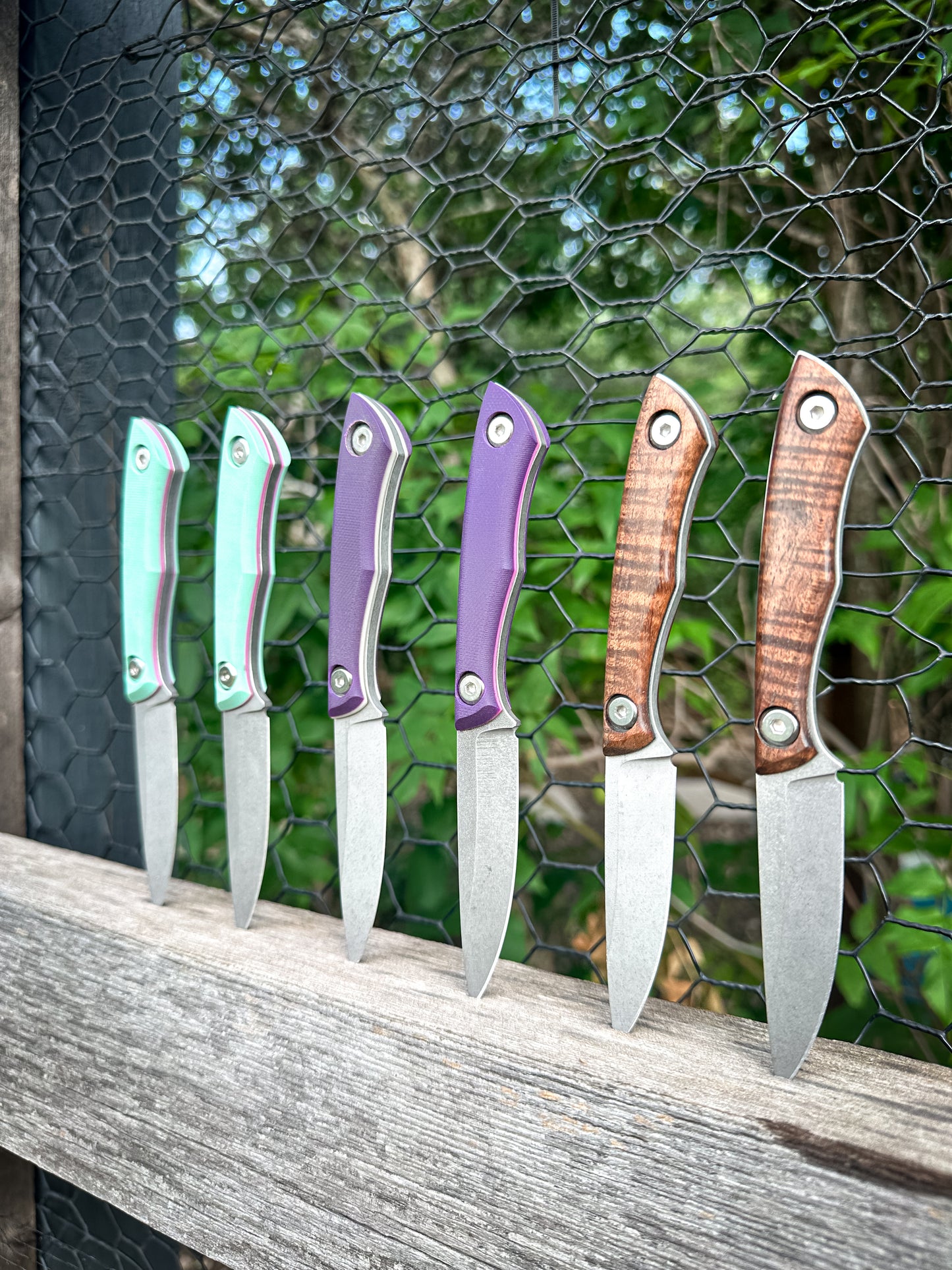 The Scout